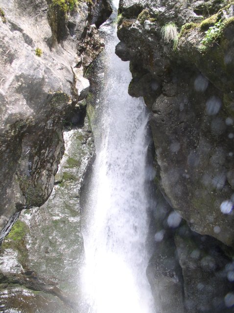 4.30.06 Hamilton Mountain 020 